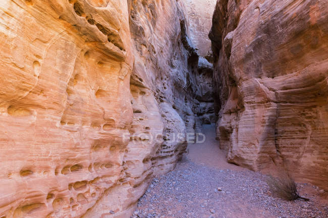 États-Unis, Nevada, Valley of Fire State Park, grès et roches calcaires — Photo de stock