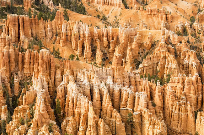 Estados Unidos, Estados Unidos de América, Utah, Bryce Canyon National Park, Colorado Plateau, Paunsaugunt Plateau, Vista desde el Rim Trail hasta las pirámides de Fel o Hoodoos en el anfiteatro - foto de stock
