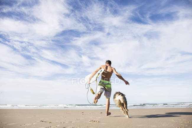 Вид ззаду чоловіка, що біжить з собакою, тримає дошку для серфінгу на піщаному пляжі — стокове фото