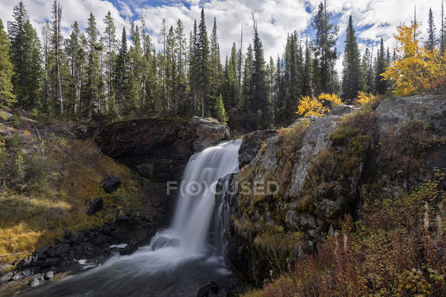 USA, Vereinigte Staaten von Amerika, Wyoming, Montana, Idaho, Parco nazionale di Yellowstone, Moose Falls — Foto stock