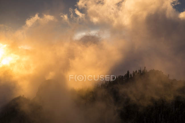 Vista de nuvens e fumaça sobre árvores — Fotografia de Stock