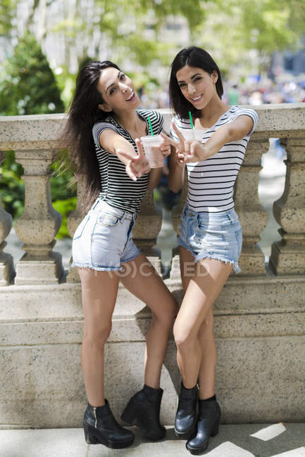 Portrait de deux jeunes femmes tenant des boissons près d'une clôture en pierre — Photo de stock