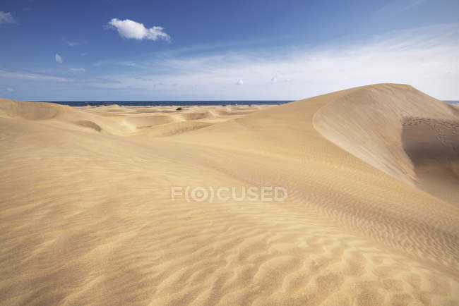Dunas de areia dourada em Gran Canaria, Ilhas Canárias, Espanha . — Fotografia de Stock