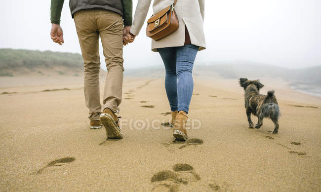 Spain, Asturias, Low section of unrecognizable couple walking by the beach with their dogr — Stock Photo