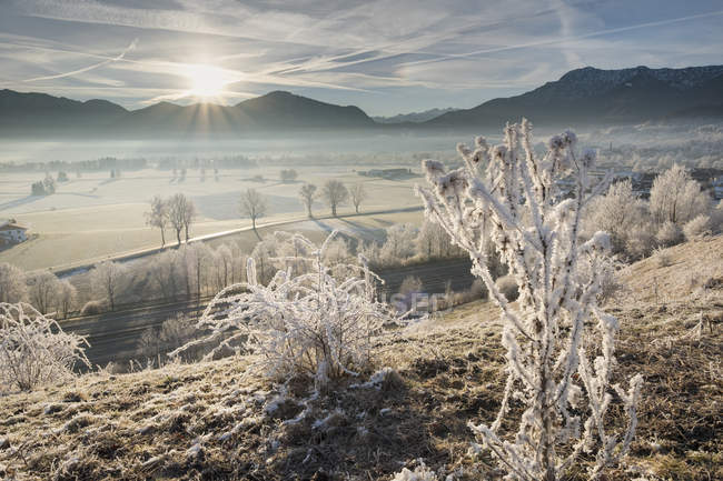 Germania, Baviera, Grossweil, paesaggio invernale con montagne all'alba — Foto stock