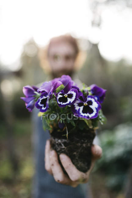 Jardinero con una planta en la mano - foto de stock