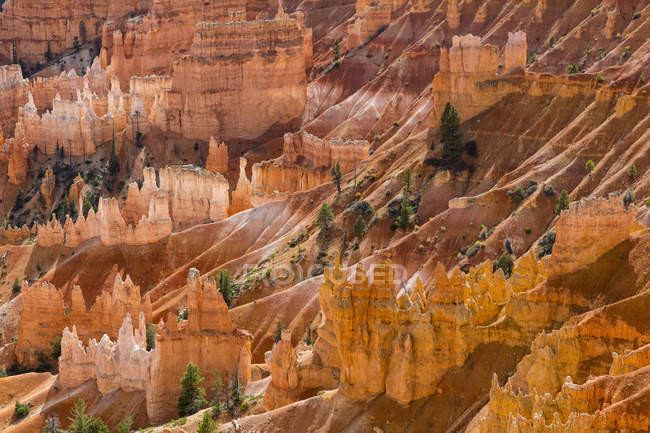 États-Unis, États-Unis d'Amérique, Utah, Bryce Canyon National Park, Colorado Plateau, Paunsaugunt Plateau, Vue de la piste Rim aux pyramides Fel ou Hoodoos dans l'amphithéâtre — Photo de stock