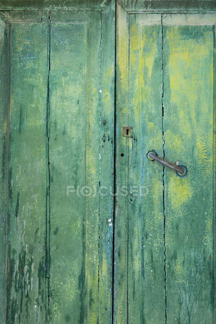 Italy Vintage Wooden Door Painted Wooden Green Door