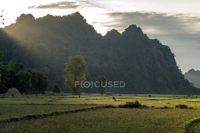 Landschaft mit Karstformationen, Hpa-an, Myanmar, Asien, paesaggio con montagne carsiche, Hpa-an, Hpa-an, Myanmar, Asia — Foto stock
