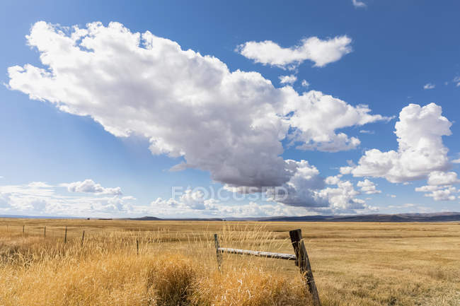 Vista de campo com grama seca e cerca durante o dia — Fotografia de Stock