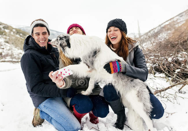 Leon, España, tres amigos haciendo una selfie con su perro en la nieve - foto de stock