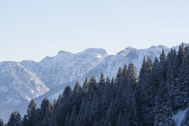 Alemanha, Nesselwang, Allgaeu Alps, vista para cimeiras cobertas de neve — Fotografia de Stock