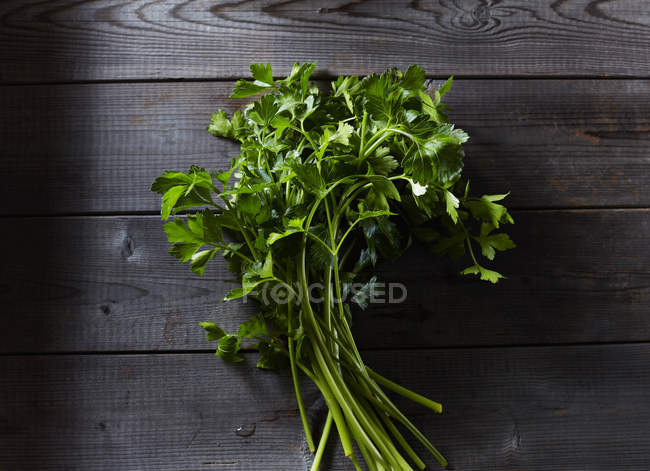 Flat leaf parsley on dark wood — Stock Photo