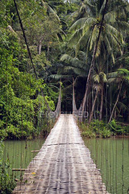 Indonesien, Java, Hängebrücke im Dschungel — Stockfoto