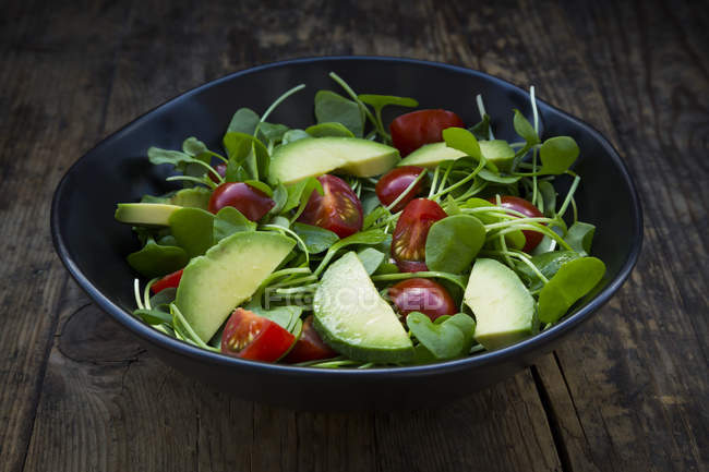 Salad of Indian lettuce with avocado and tomatoes — Stock Photo