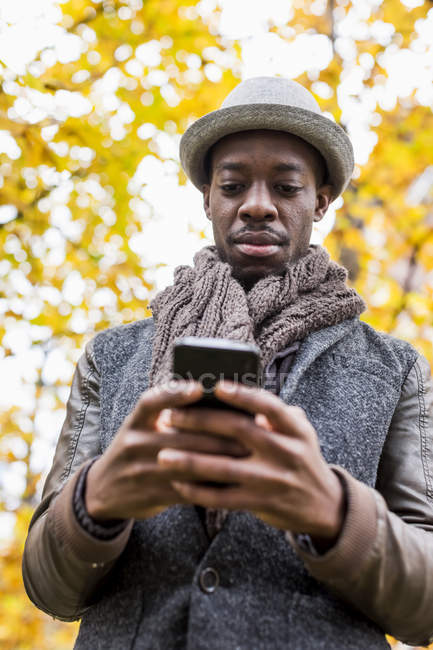 Vista inferiore di afro americano uomo sms su smartphone nel parco autunnale — Foto stock