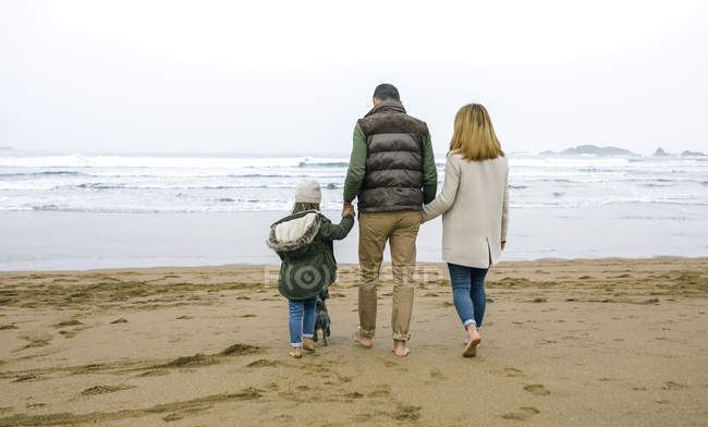 España, Asturias, Vista trasera de una familia irreconocible caminando descalza por la playa en invierno con el mar de fondo - foto de stock