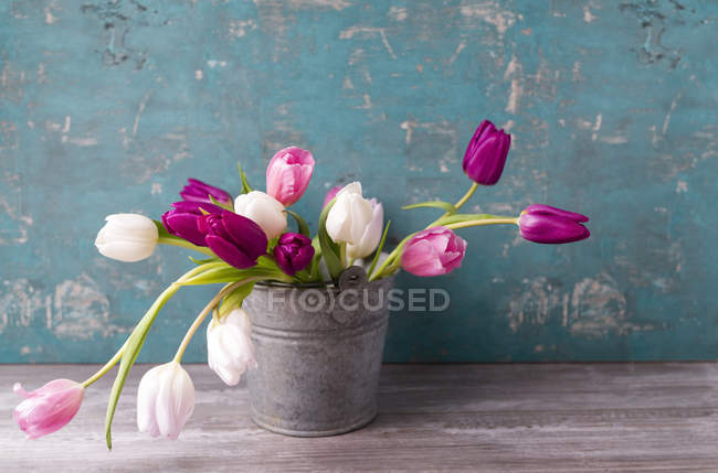 Tulipanes frescos cortados en cubo - foto de stock