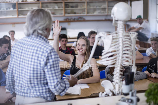 Profesor con modelo de anatomía y estudiantes en clase — Estructura ósea,  unidad - Stock Photo | #173579100