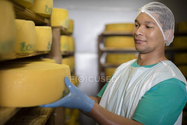 Ouvrier d'usine de fromage contrôlant la maturation du fromage — Photo de stock