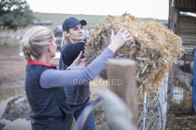 Две женщины работают на ферме с сеном — стоковое фото