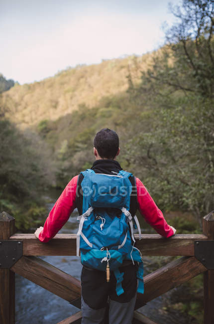 Escursionista uomo contemplando foresta mentre in piedi su un ponte di legno — Foto stock