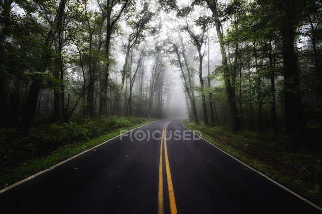 USA, Virginia, empty Blue Ridge Parkway at mist — Stock Photo