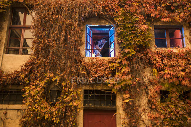 Весільний пара цілується за вікном будинку з Повзуча рослина — стокове фото