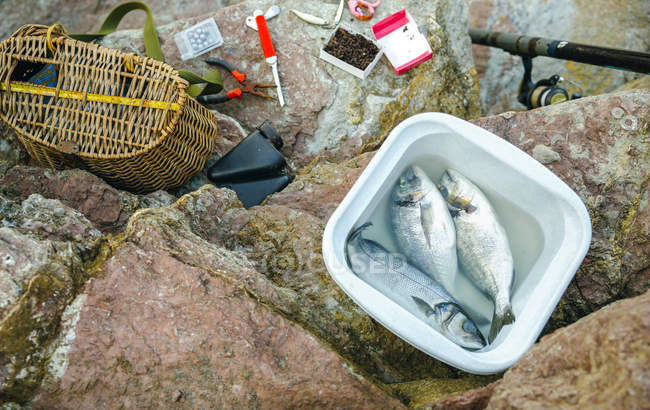 Bucket with caught fish and fishing equipment on rock — Stock Photo