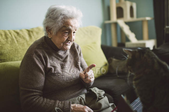 Vieille femme grondant chat à la maison — Photo de stock