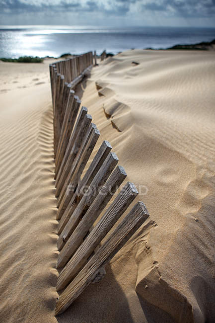 Таріфа, Коста-де-ла-Луз, провінція Кадіс, Андалусія, південна Іспанія. Піщані дюни Пунта - Паломи — стокове фото