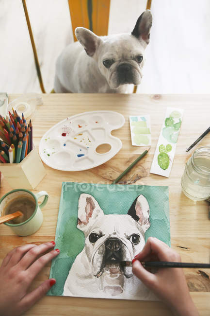 Hands of artist painting an aquarelle of her French bulldog — Stock Photo