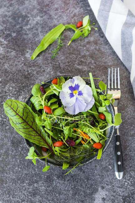 Bowl of wild-herb salad with edible flowers, cranberries and wolfberries — Stock Photo