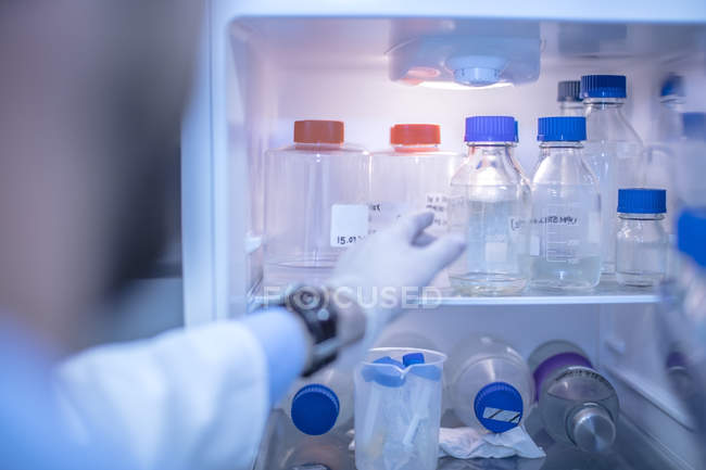 Científico buscando botellas de plástico en nevera en laboratorio - foto de stock