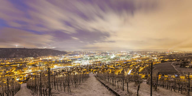 Hügel mit Schnee und Pflanzen in der Nacht — Stockfoto