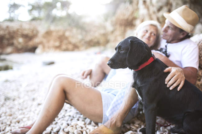 Actif mignon couple sénior détente sur la plage avec chien — Photo de stock