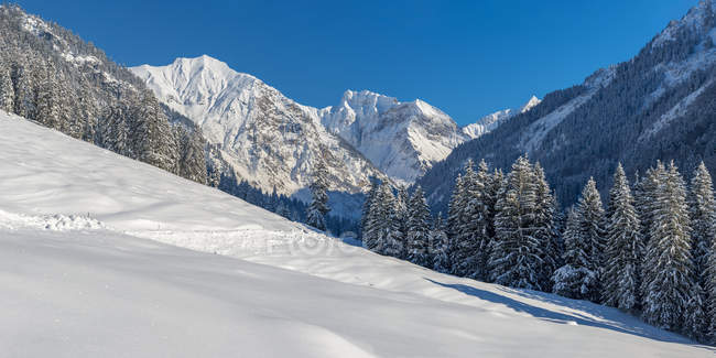 Germany, Bavaria, Oy Valley in winter with trees on slopes — Stock Photo