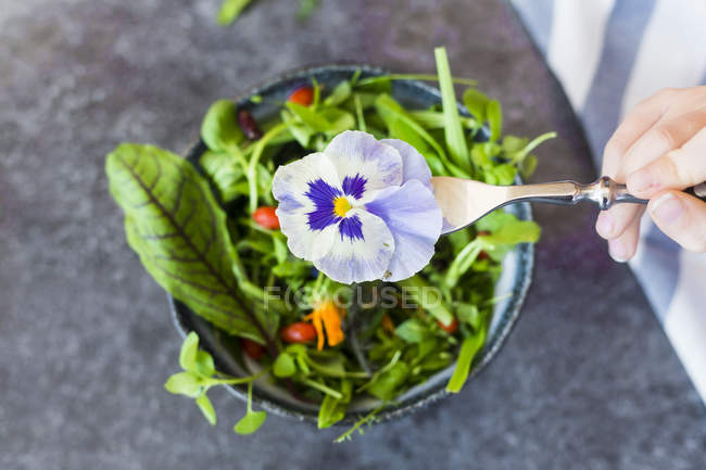 Girl hand holding fork with pansy in front of bowl with wild-herb salad — Stock Photo