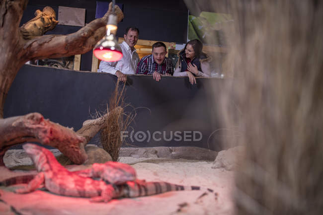 Jovem com síndrome de down e família olhando lagarto em exposição réptil — Fotografia de Stock