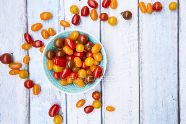 Fresh colorful tomatoes — Stock Photo