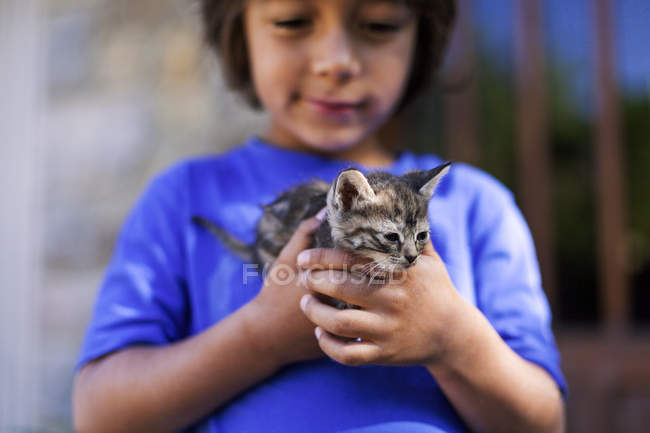 Mains de petit garçon tenant chaton tabby — Photo de stock