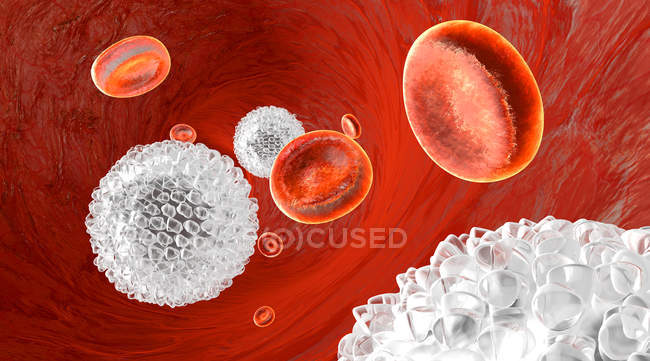 Leucocitos que fluyen en un vaso sanguíneo - foto de stock