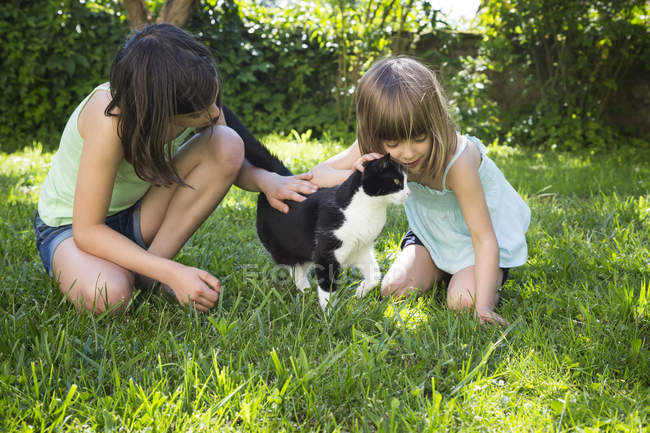Due ragazze accarezzano il gatto su un prato — Foto stock