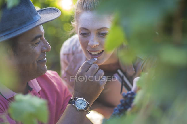 Uomo e donna in vigna degustazione uva — Foto stock