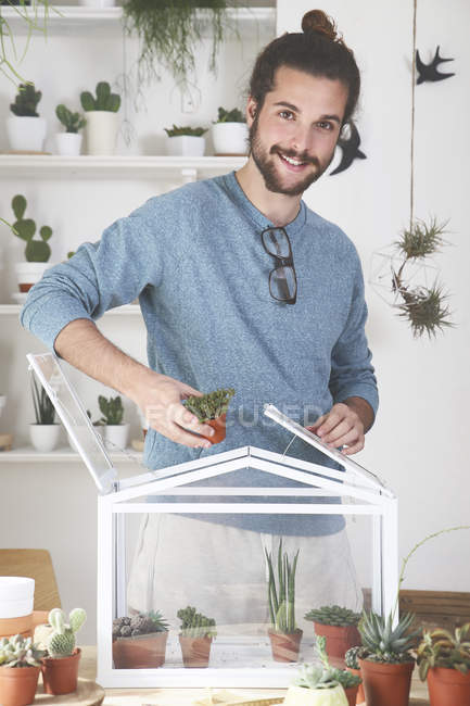 L'uomo mette cactus e piante grasse in una piccola serra — Foto stock