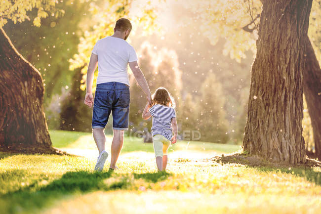 Download Back view of father and his little daughter walking hand ...