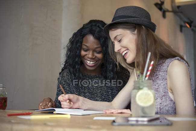 Две молодые женщины учатся вместе — стоковое фото
