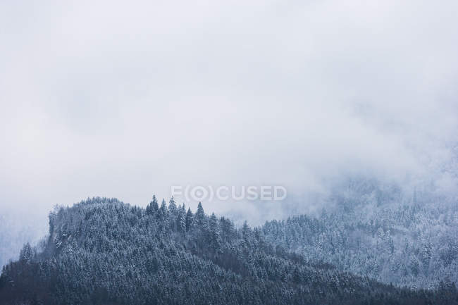 Mountain in winter, Bavaria — Stock Photo