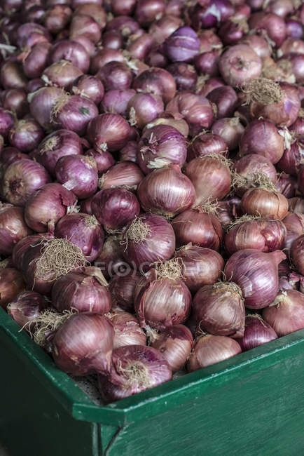 Oignons dans une grande caisse — Photo de stock