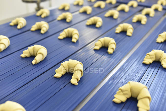 Production line in a baking factory with croissants — Stock Photo